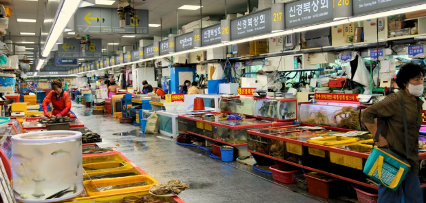 South Korea&rsquo;s Economy Shows Mixed Signals as Factory Output Stalls in July